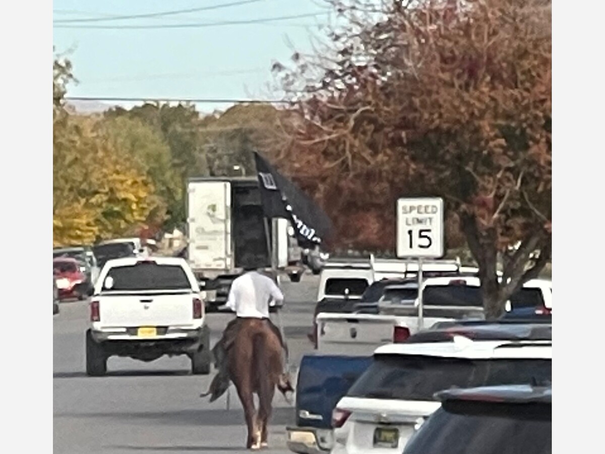 AlamogordoTownNews.com Couy Griffin Protest Election Certification on Hordeback