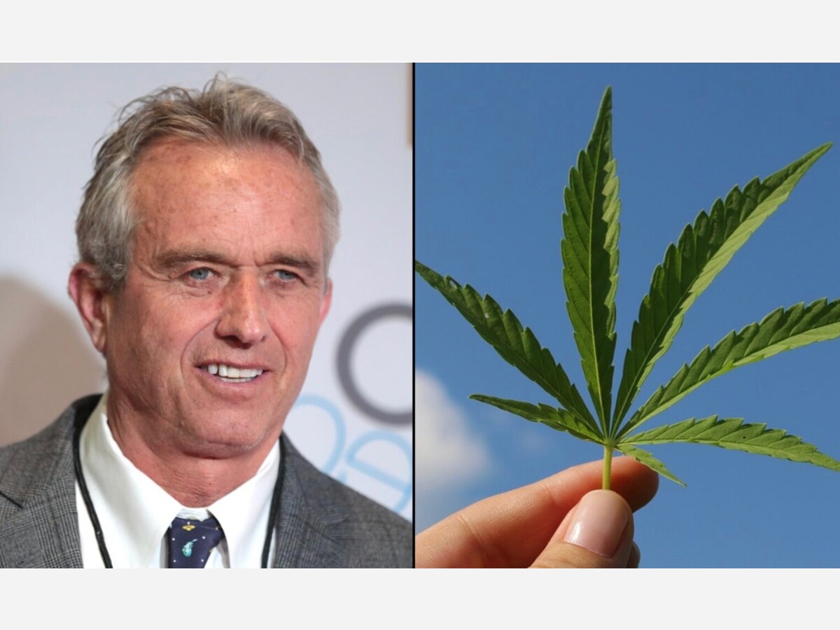 Presidential Candidate Robert F. Kennedy Jr. Cannabis, Psychedelics Not ...