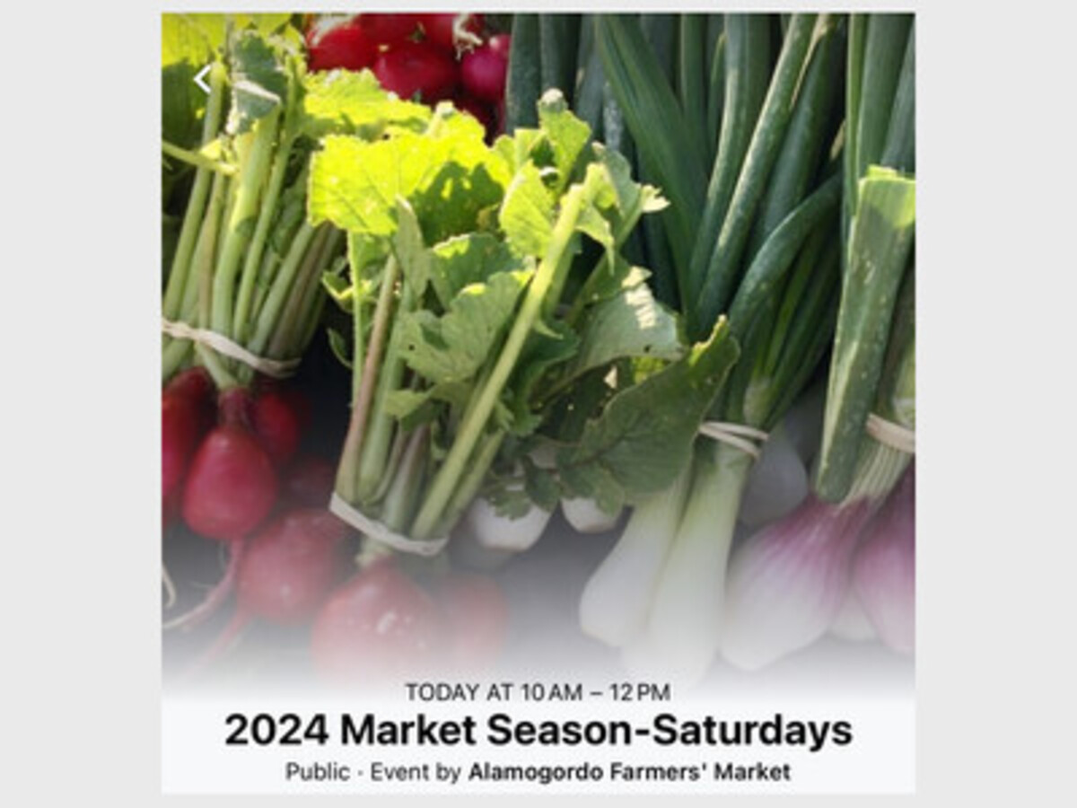 Alamogordo Farmers Market at Washington Park 2nd Life Media