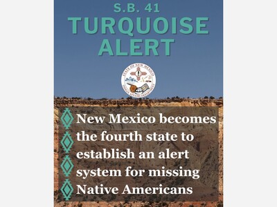 Rep John Block Absent as Those Present Unanimously Passed Turquoise Alert System