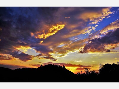 Commentary on House Bill 8