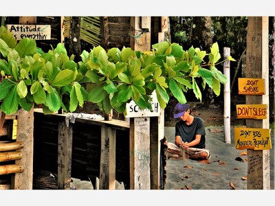 PERSPECTIVES - a regular weekend column