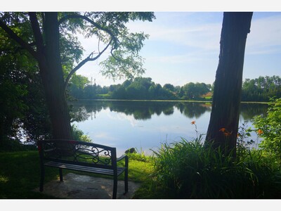 Perspectives - a regular weekend feature