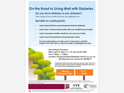 On the Road to Living Well with Diabetes Workshops 
