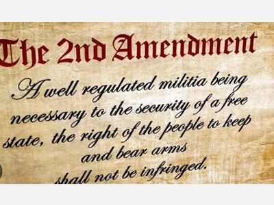 No Prohibitions or The Gun Advocates Flawed 2nd Amendment Argument 