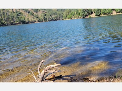 City of Alamogordo Owned Bonito Lake Reopens to Fishing August 30th, 2024