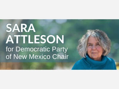 DPNM Chair Sara Attleson Response to Recent Treasurer's Resignation 