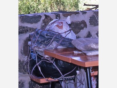 Cold Case New Mexico State Police Seek Public’s Assistance in Identifying 1989 Jane Doe