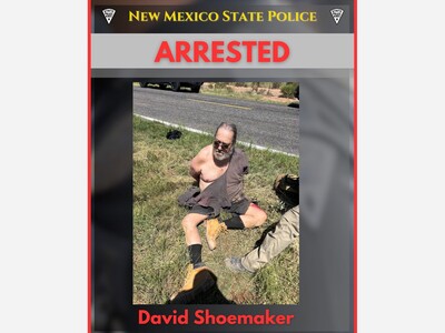 Armed Carjacking Suspect “Wizard” Apprehended After Highway Pursuit 