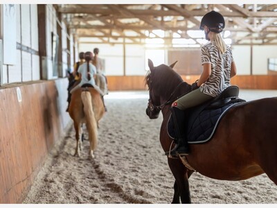 Desert Dreams Free Riding Academy: Where Horses Help Young Minds Grow Strong
