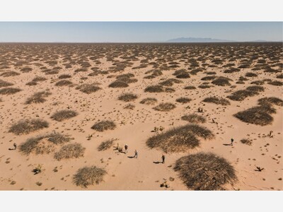 Alleged Tren de Aragua Gang Members Indicted in Federal Court for Murder, Kidnapping in New Mexico