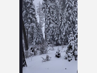 Winter Storm Hammers Southern New Mexico Mountains: Heavy Snow Persists in Cloudcroft and Ruidoso, Power Outages Reported Including Sunspot Area