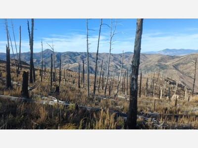 Lincoln National Forest Launches Trail Assessments in Fire-Scarred Areas to Guide Future Restoration