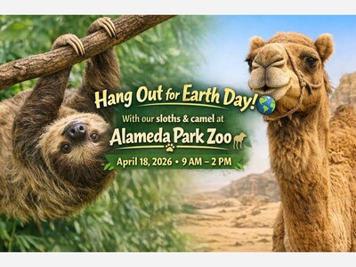 Alameda Park Zoo in Alamogordo Expands Exhibits with New Camels, Sloths, and Infrastructure Upgrades; Gears Up for Massive Earth Day Weekend in April 2026