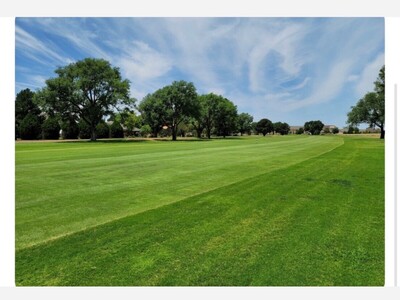 Alamogordo Boys Golf Team Takes First, Girls Secure Second at Las Cruces High Spring Invitational