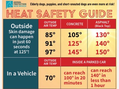 APNM Issues Urgent Pet Heat Safety Warnings as New Mexico Temps Head for the 90s – Local Alamogordo Resources Available for Help