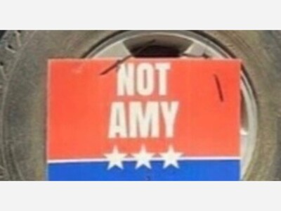 Republican County Chairs Declare Victory as Court Ends Controversy Over State Chair Amy Barela