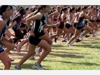 Alamogordo Girls Place 6th at Artesia Twilight Meet; Alamo and Cloudcroft Boys Also Compete