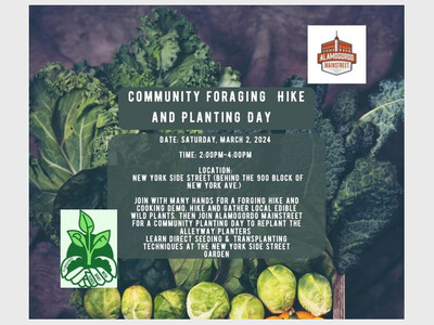 Community Hike and Planting Day