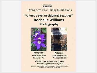 Solo Photography Exhibition of Rochelle Williams at Otero Arts Thurs thru Sunday in February