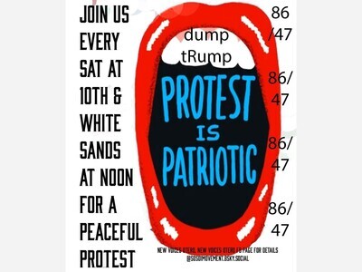 Hands of Our Democracy Protest