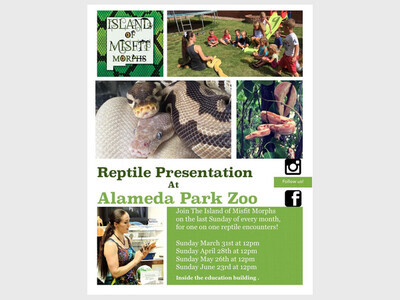 Reptile Presentation Alameda Park Zoo Alamogordo 